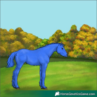 Horse Color:Watercolor Black