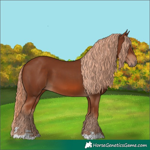 Horse Color:Chestnut 