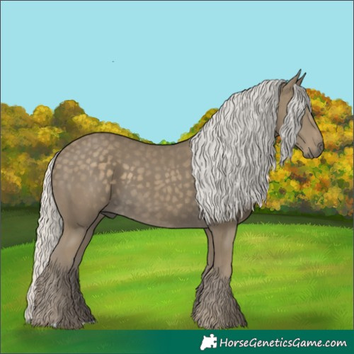 Horse Color:Silver Smoky Black