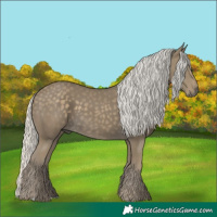 Horse Color:Silver Smoky Black 
