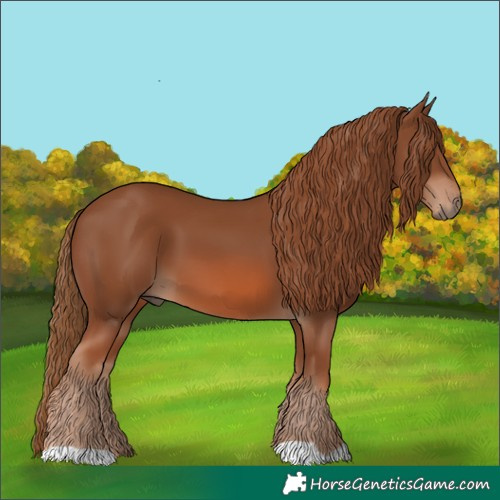 Horse Color:Chestnut 