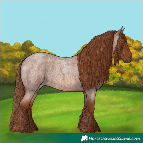 Horse Color:Red Roan 