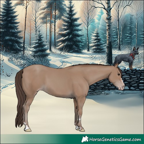 Horse Color:Classic Champagne 