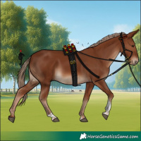 Horse Color:Chestnut Tobiano