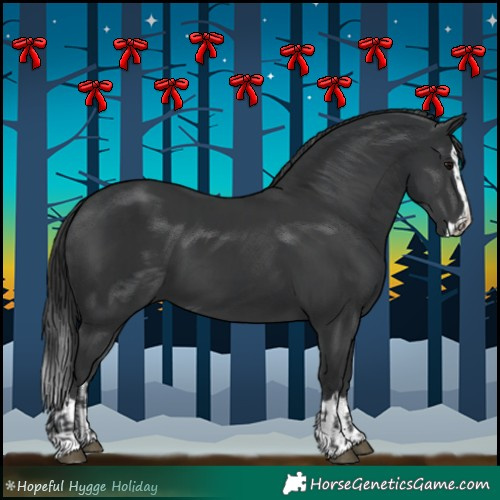 Horse Color:Black  and Black Splash 