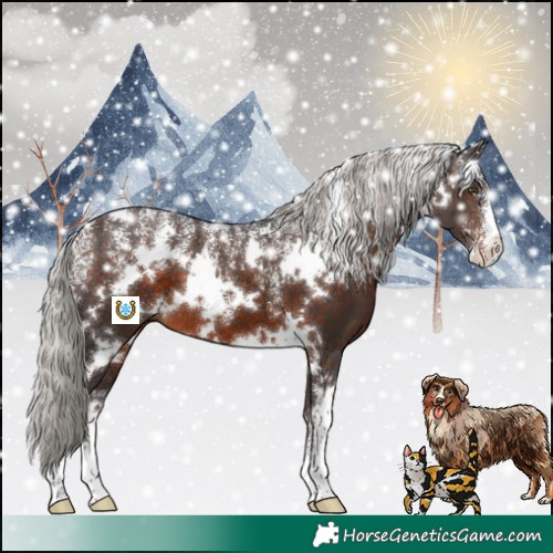 Horse Color:Powder White White Spotted Silver Brown 