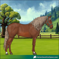 Horse Color:Chestnut 