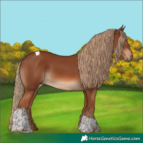 Horse Color:Chestnut Tobiano