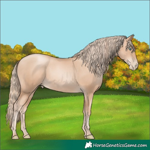 Horse Color:Gold Champagne Pearl Rabicano  and Gold Champagne Pearl Rabicano 