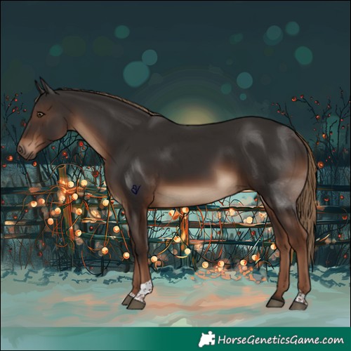 Horse Color:Liver Chestnut Tobiano 