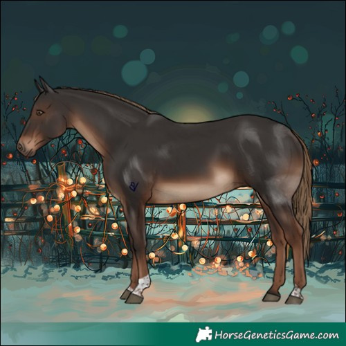 Horse Color:Liver Chestnut Tobiano 