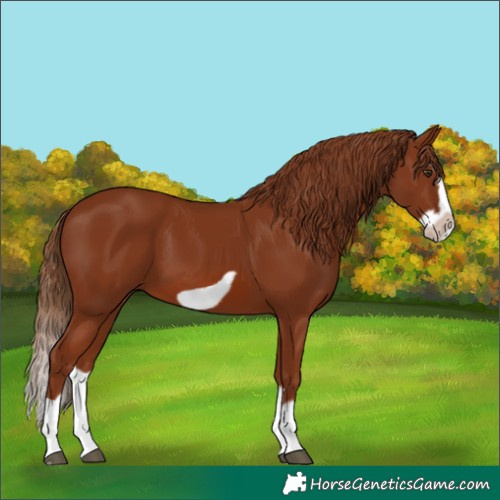 Horse Color:Chestnut Splash Frame 