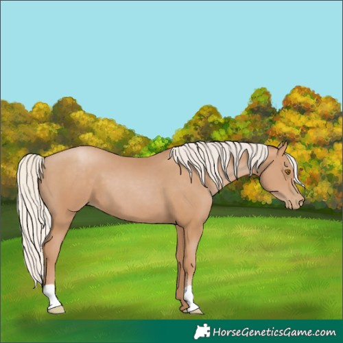 Horse Color:Silver Black Pearl 
