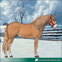 Horse Color:Chestnut Splash Frame