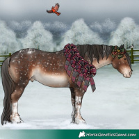 Horse Color:Liver Chestnut Tobiano Appaloosa  and Liver Chestnut Tobiano Appaloosa Rabicano 