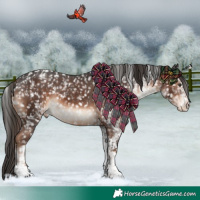 Horse Color:Liver Chestnut Sabino Tobiano Snowflake Varnish and White Spotted Liver Chestnut Tobiano Snowflake VarnishRabicano 