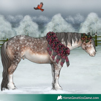 Horse Color:Liver Chestnut Sabino Tobiano Appaloosa  and White Spotted Liver Chestnut Tobiano Appaloosa Rabicano 