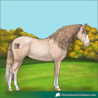 Horse Color:Gold Champagne Pearl Splash Rabicano  and Gold Champagne Pearl Splash Rabicano 