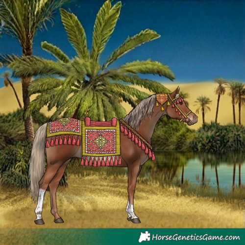 Horse Color:Chestnut Tobiano