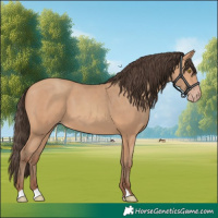 Horse Color:Amber Champagne
