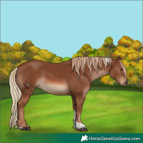 Horse Color:Chestnut Tobiano 