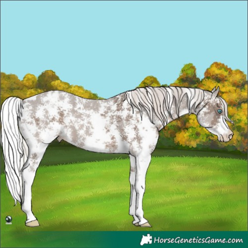 Horse Color:Silver Black Merle Sabino 