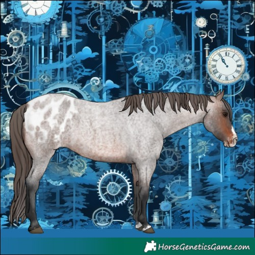 Horse Color:Brown Roan Splash Appaloosa 