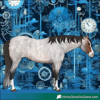Horse Color:Brown Roan Splash 