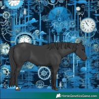 Horse Color:Black 