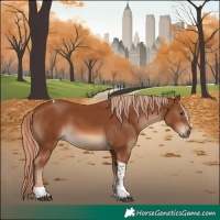 Horse Color:Chestnut Tobiano