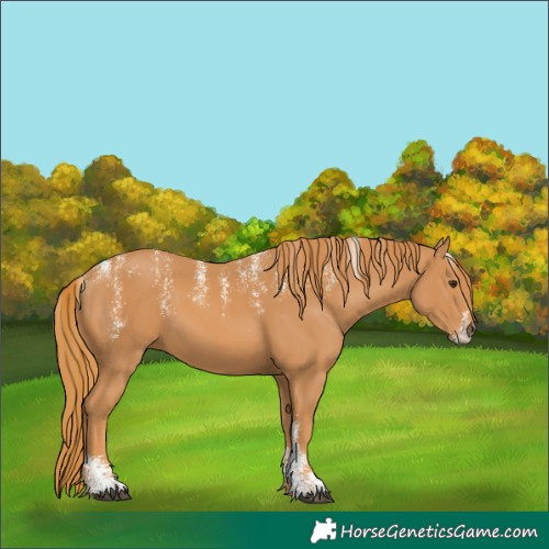 Horse Color:Powder White Chestnut 