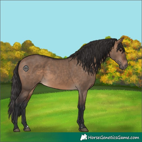 Horse Color:Unknown 