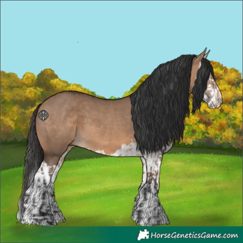 Horse Color:Unknown 