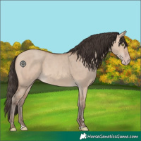 Horse Color:Amber Champagne Dun 