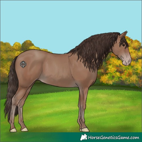 Horse Color:Classic Champagne 