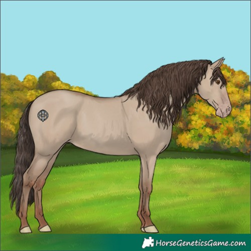 Horse Color:Classic Champagne Dun 