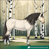 Horse Color:Buckskin Roan Dun Tobiano 