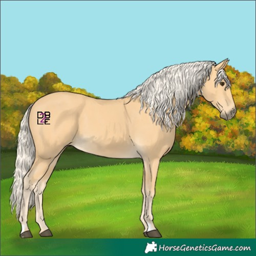 Horse Color:Palomino 