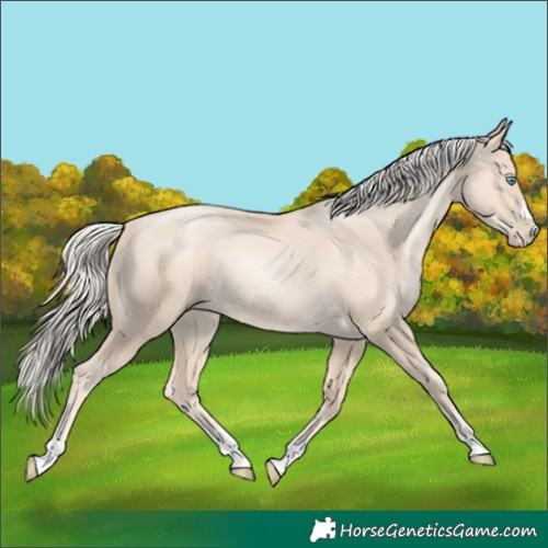 Horse Color:Gold Cream Champagne Pearl 