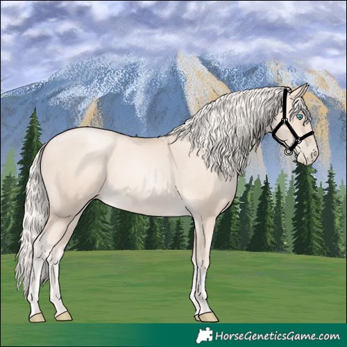 Horse Color:Gold Cream Champagne Pearl