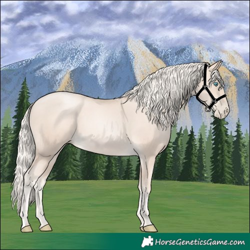 Horse Color:Gold Cream Champagne Pearl 
