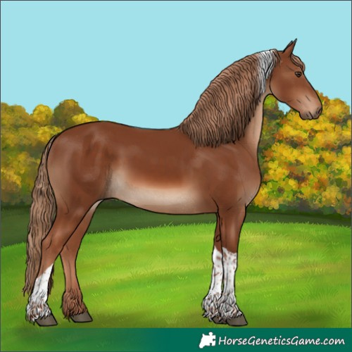 Horse Color:Chestnut Tobiano 