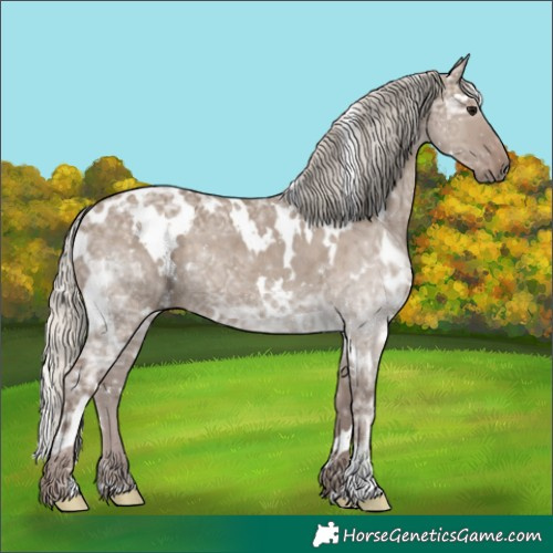 Horse Color:White Spotted Silver Grullo Ice Rabicano 