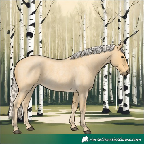 Horse Color:Palomino Roan 
