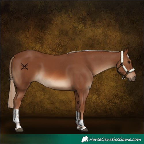 Horse Color:Chestnut Tobiano