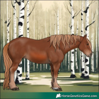 Horse Color:Chestnut 