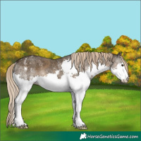Horse Color:Chocolate Palomino Ice Sabino Splash 