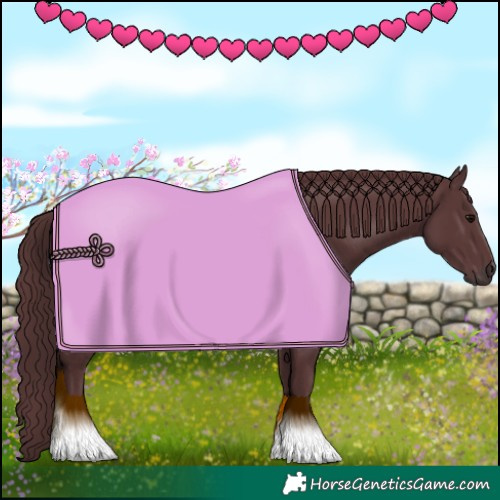 Horse Color:Chocolate Black 