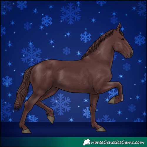 Horse Color:Chocolate Black
