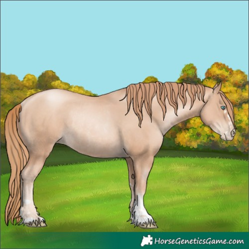 Horse Color:Gold Champagne Pearl Rabicano  and Gold Champagne Pearl Rabicano 